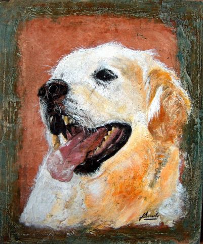 GOLDEN RETRIEVER